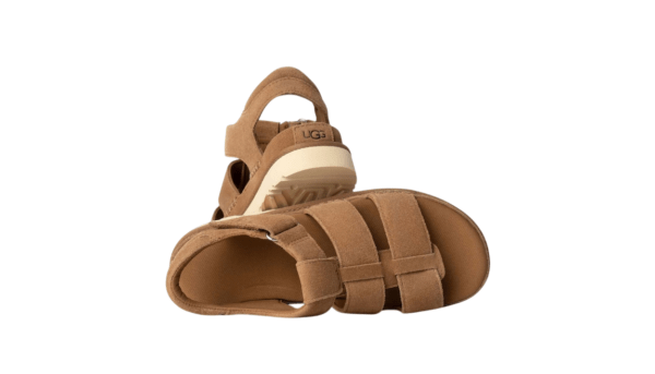 UGG Goldenstar Strap Sandal Brown נעלי בית לגברים