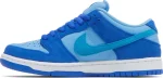 Nike SB Dunk Low Pro 'Fruity Pack - Blue Raspberry' נעלי סקייט לגברים