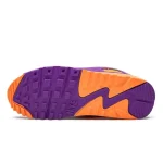 Nike Air Max 90 Viotech OG נעלי