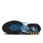 Nike Air Max Plus Naples נעלי