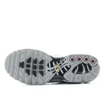 Nike Air Max TN Plus Wolf Grey נעלי