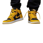 Nike Air Jordan 1 Retro High OG Pollen סניקרס